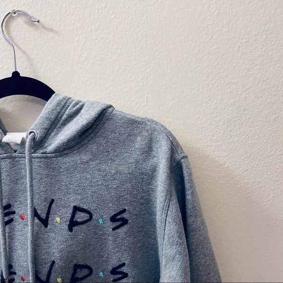 H&M Light Gray Warner Brothers FRIENDS embroidered Sweatshirt Hoodie Size L - Picture 5 of 11